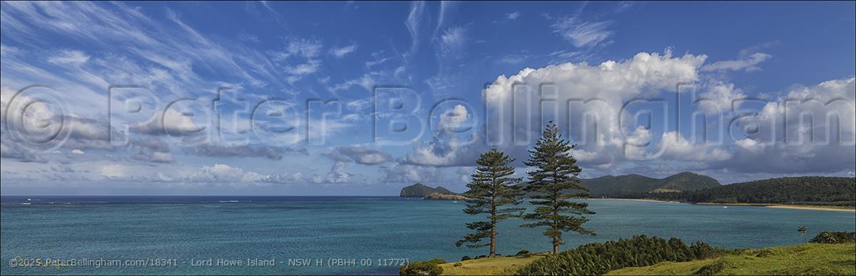 Peter Bellingham Photography Lord Howe Island - NSW H (PBH4 00 11772)